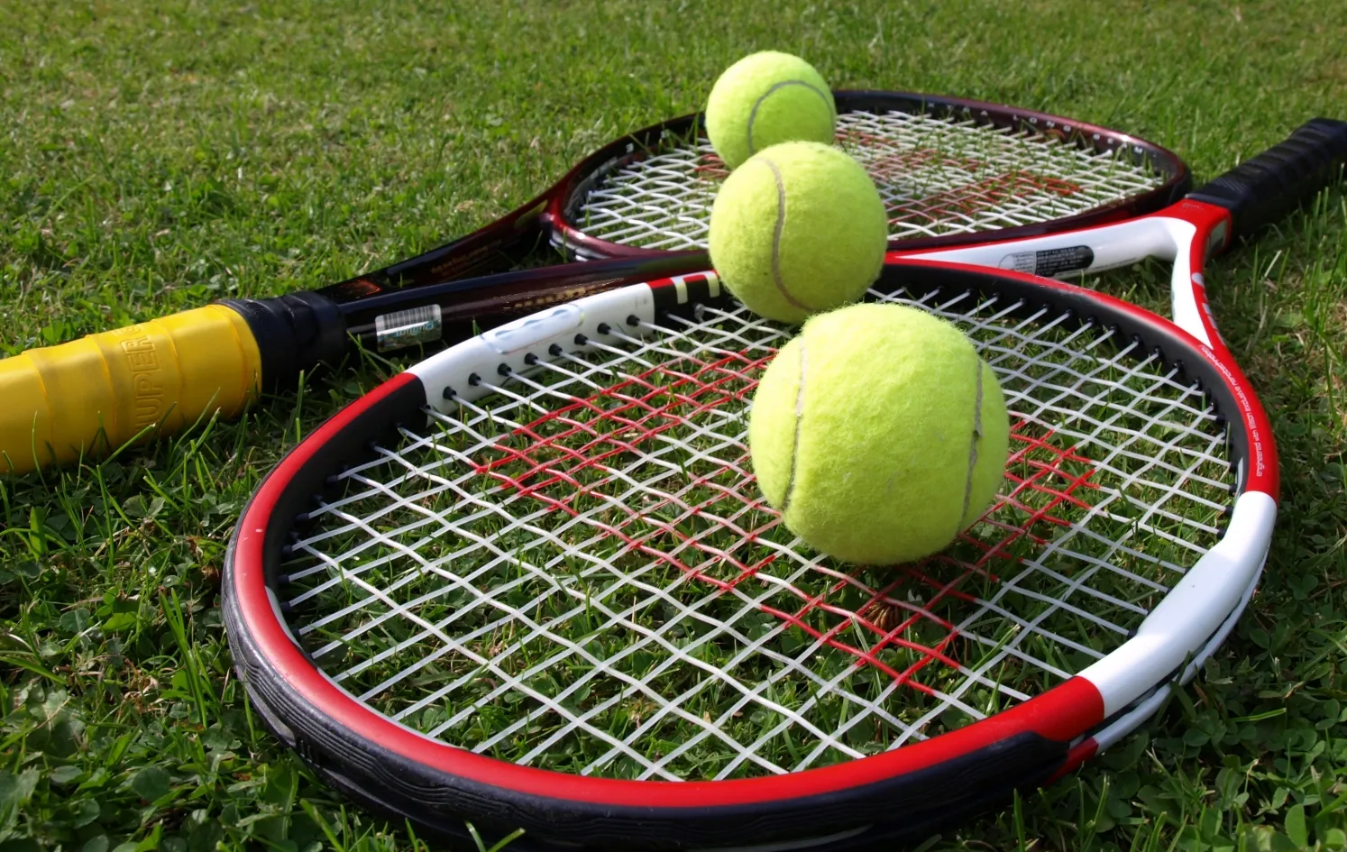 Wimbledon 2012 – Andy Murray: not miserable, just normal
